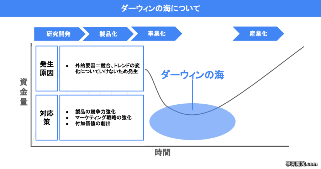 ダーウィンの海について